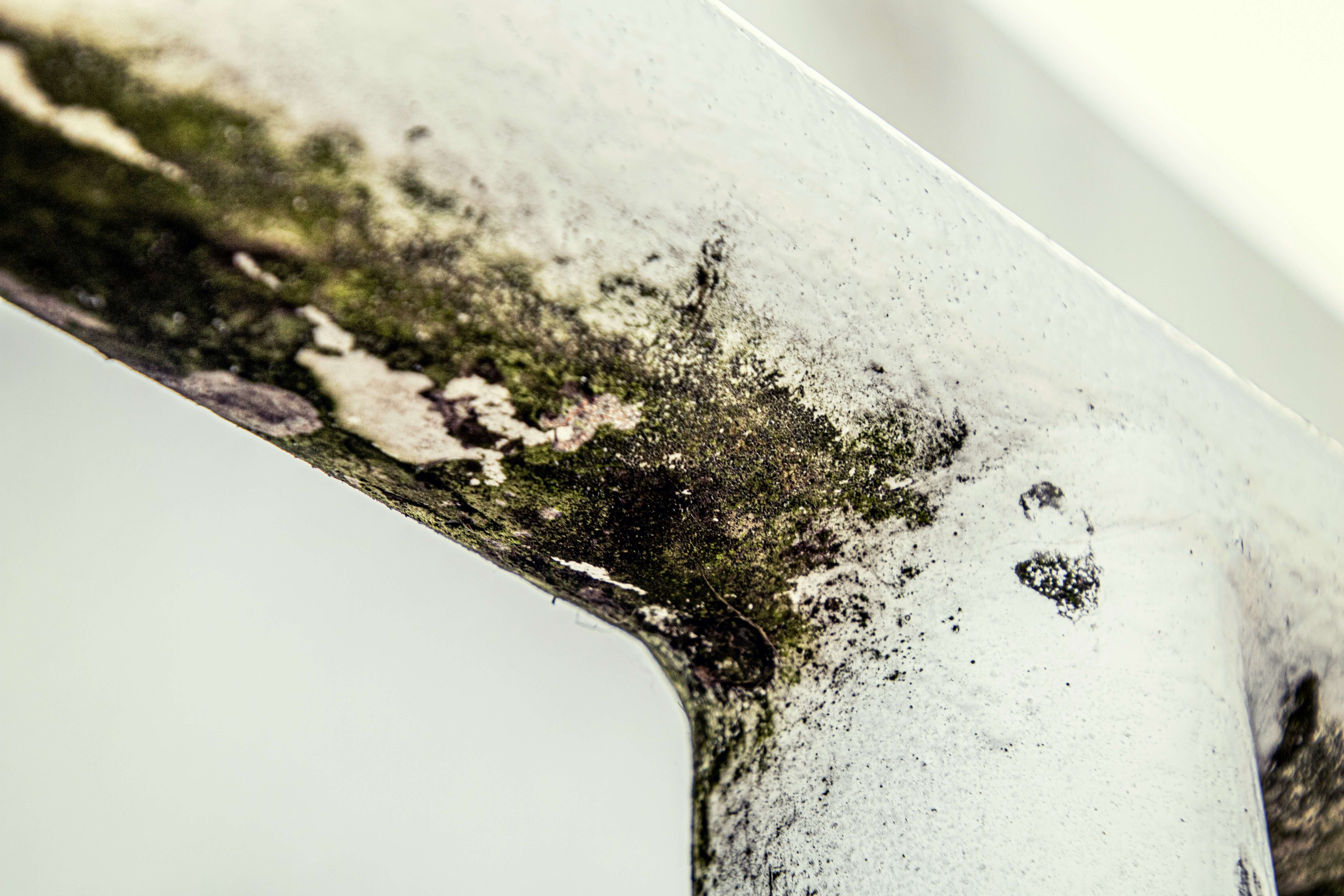 Avoid fines! Are you doing everything right as a landlord?